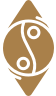 icon of a ying yang